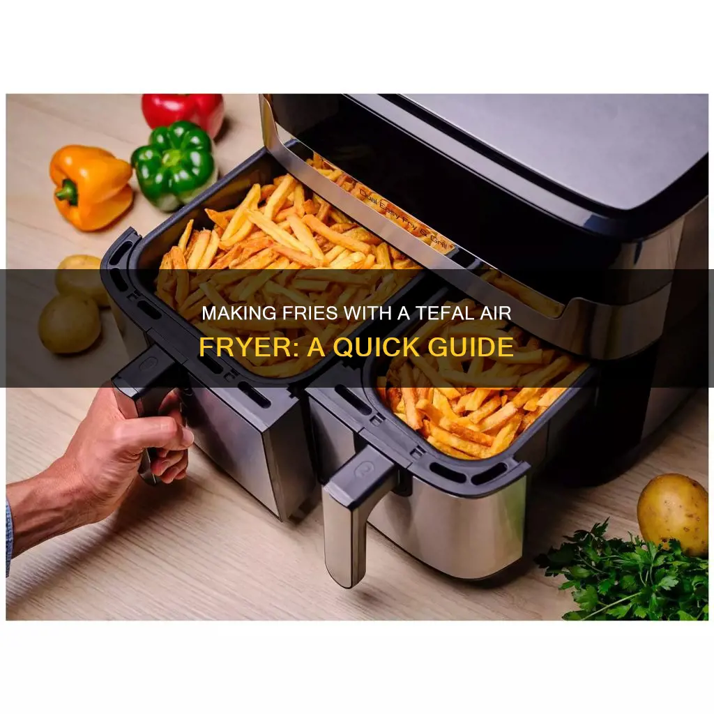 how to make fries in tefal air fryer