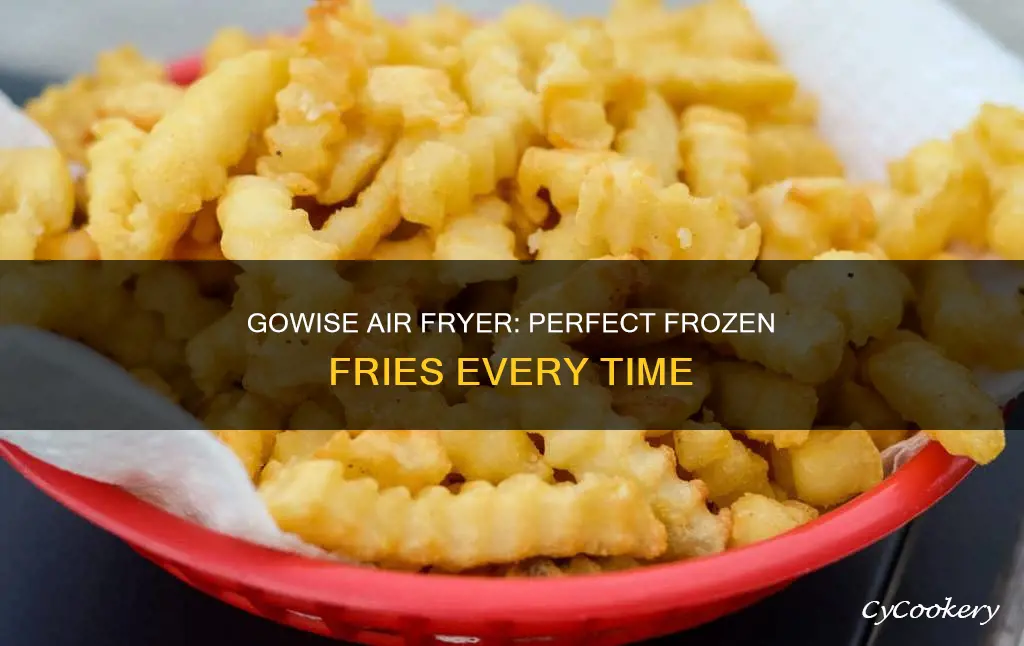 how to make frozen fries in go wise air fryer