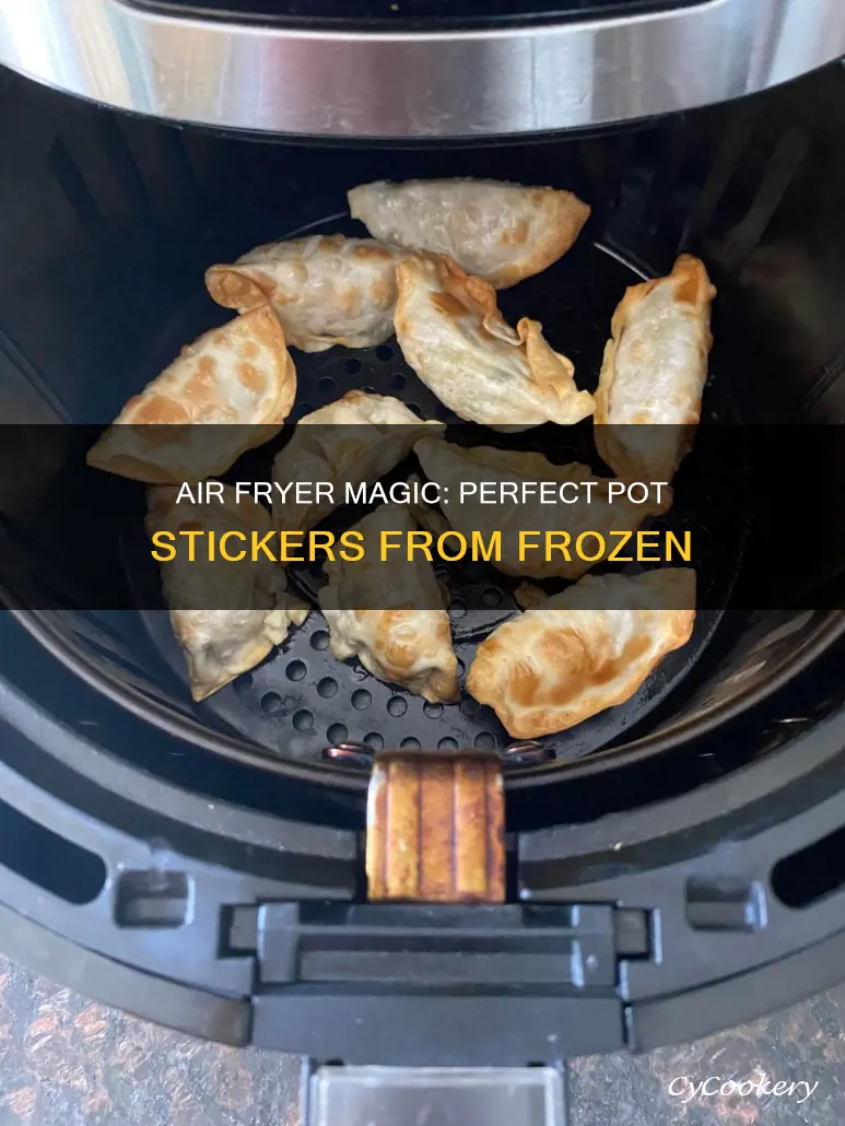 how to make frozen pot stickers in air fryer