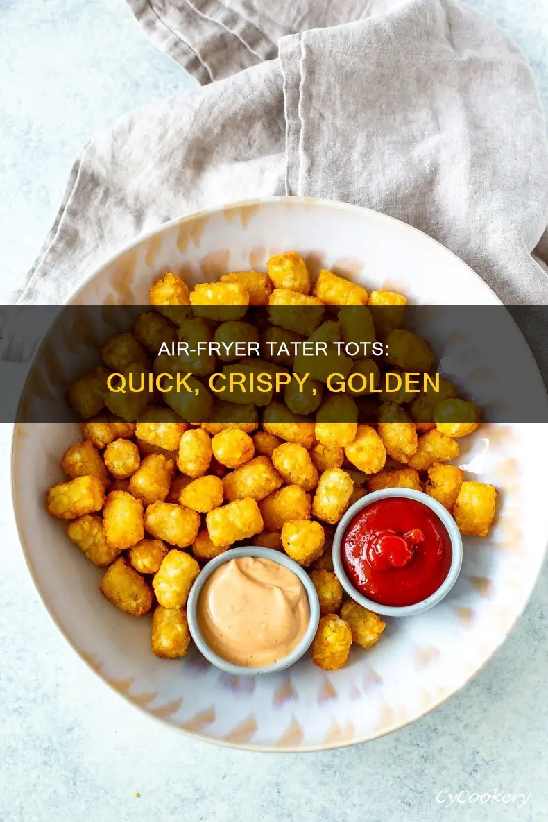 how to make frozen tater tots in an air fryer