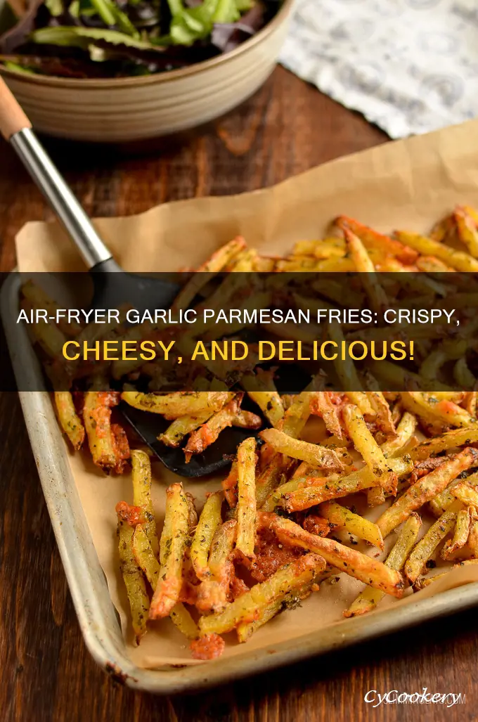 how to make garlic parmesan fries in air fryer