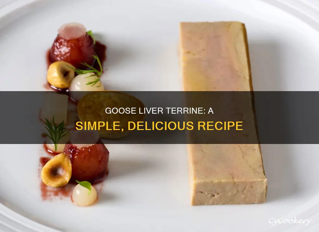 how to make goose liver terrine