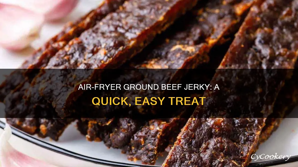 how to make ground beef jerky in air fryer