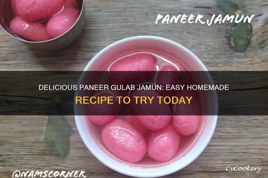 how to make gulab jamun using paneer
