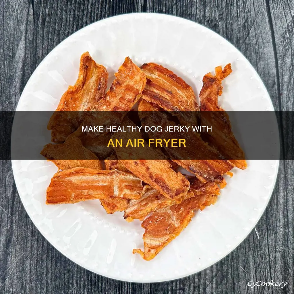 how to make healthy dog jerky air fryer