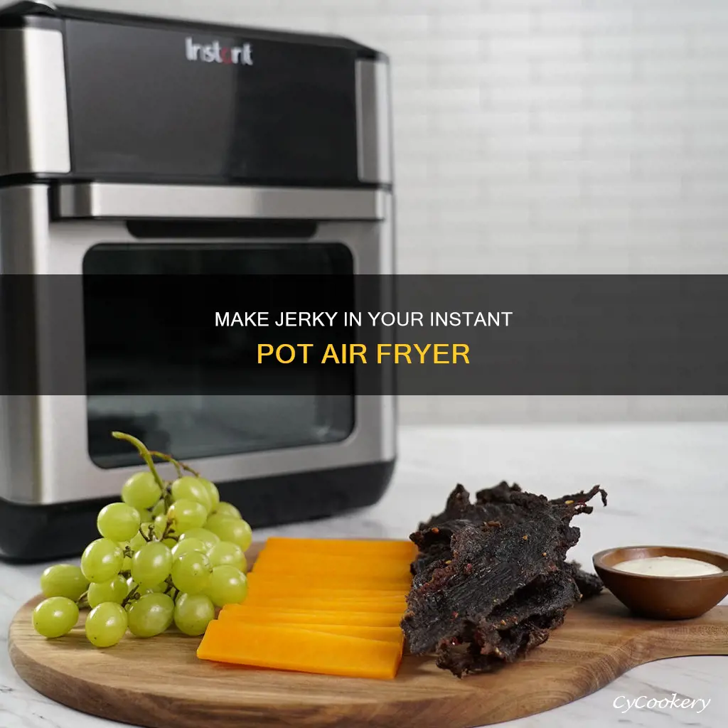 how to make jerky in instant pot air fryer