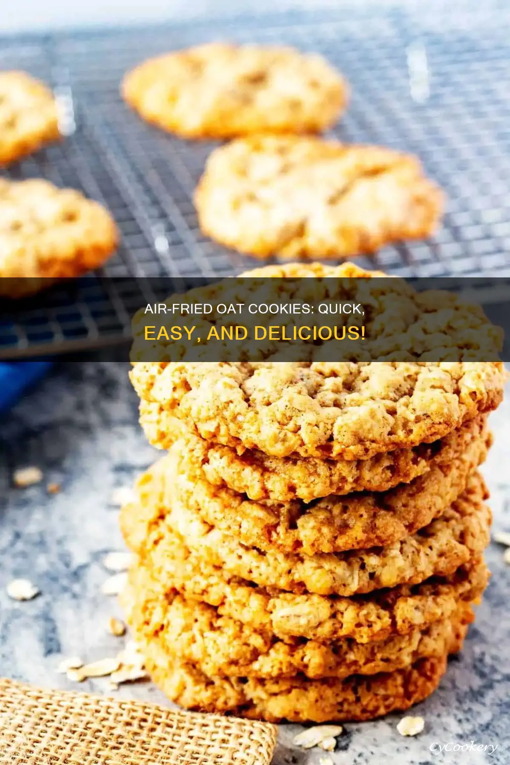 how to make oat cookies in air fryer