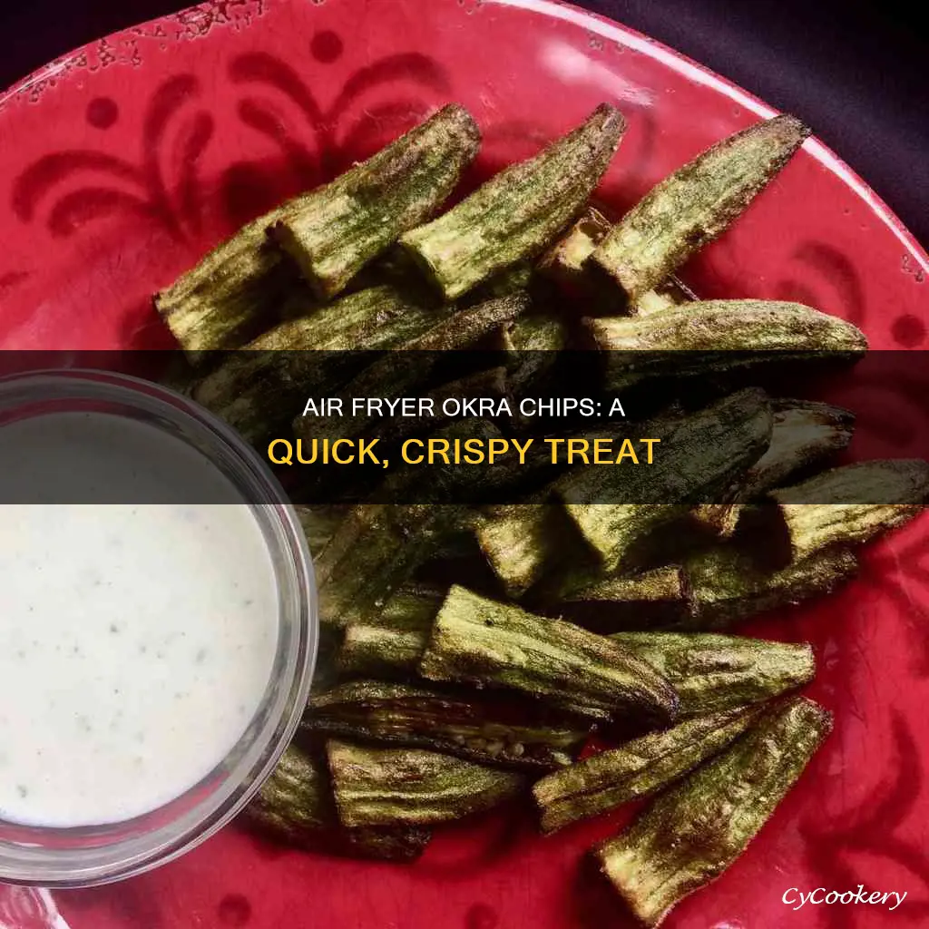 how to make okra chips in air fryer