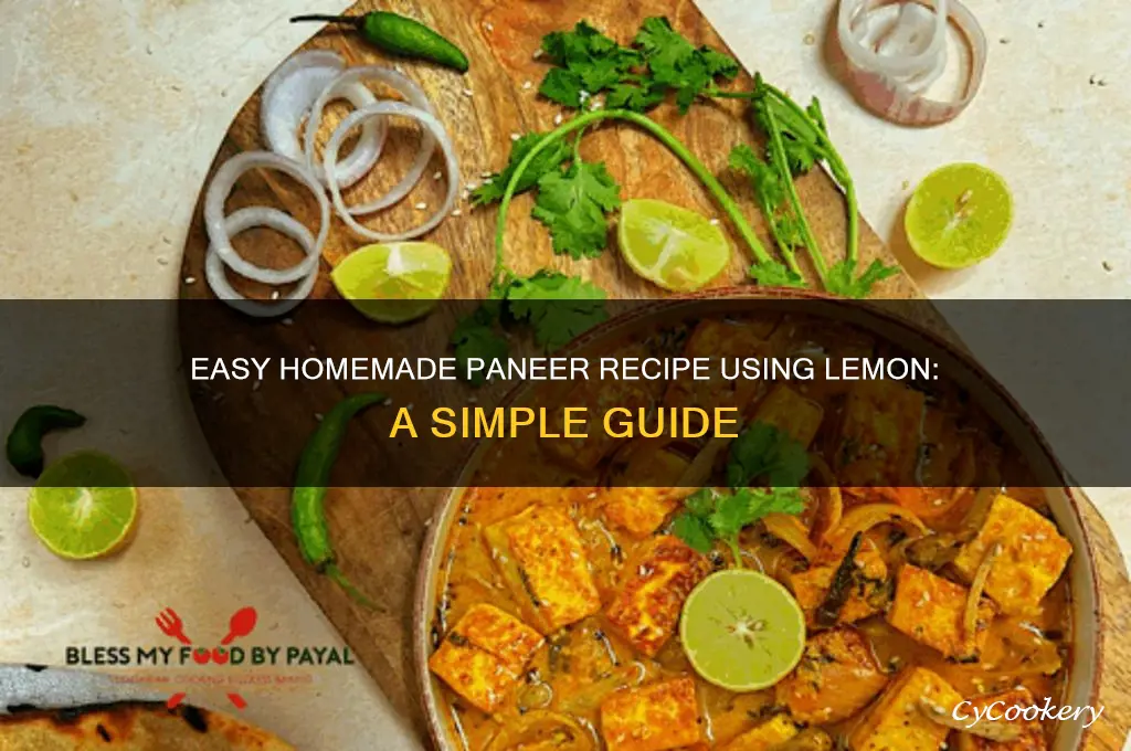 how to make paneer at home using lemon