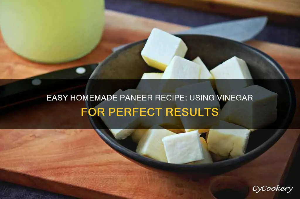 how to make paneer at home using vinegar