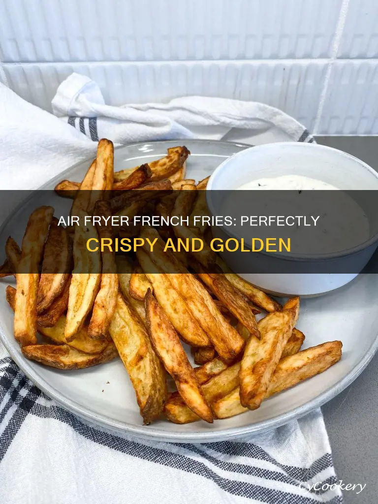 how to make perfect air fryer french fries