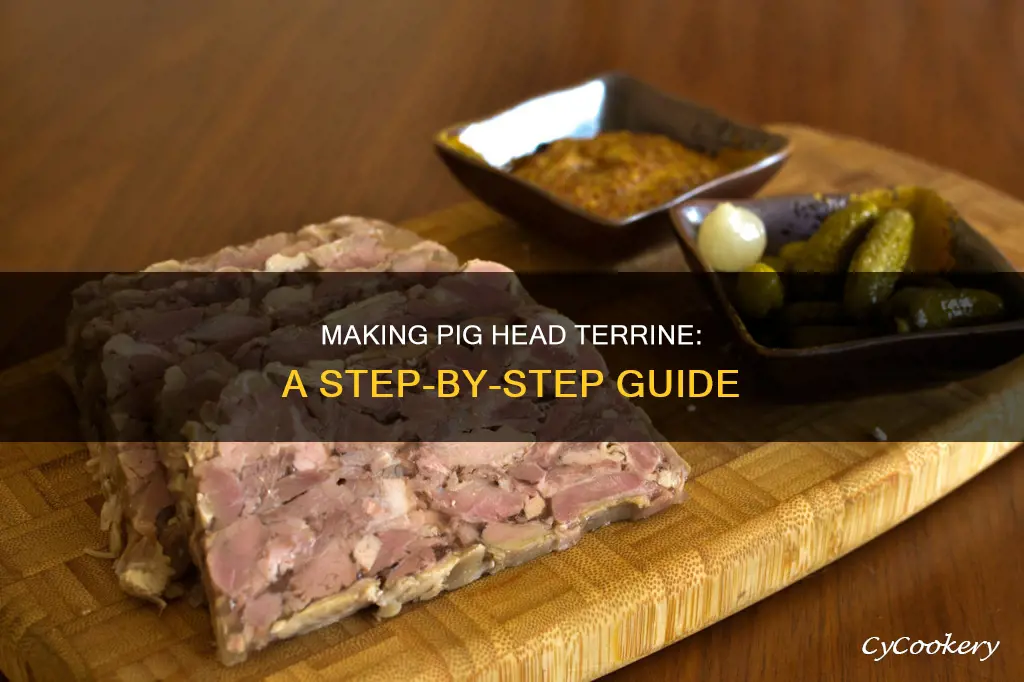 how to make pig head terrine