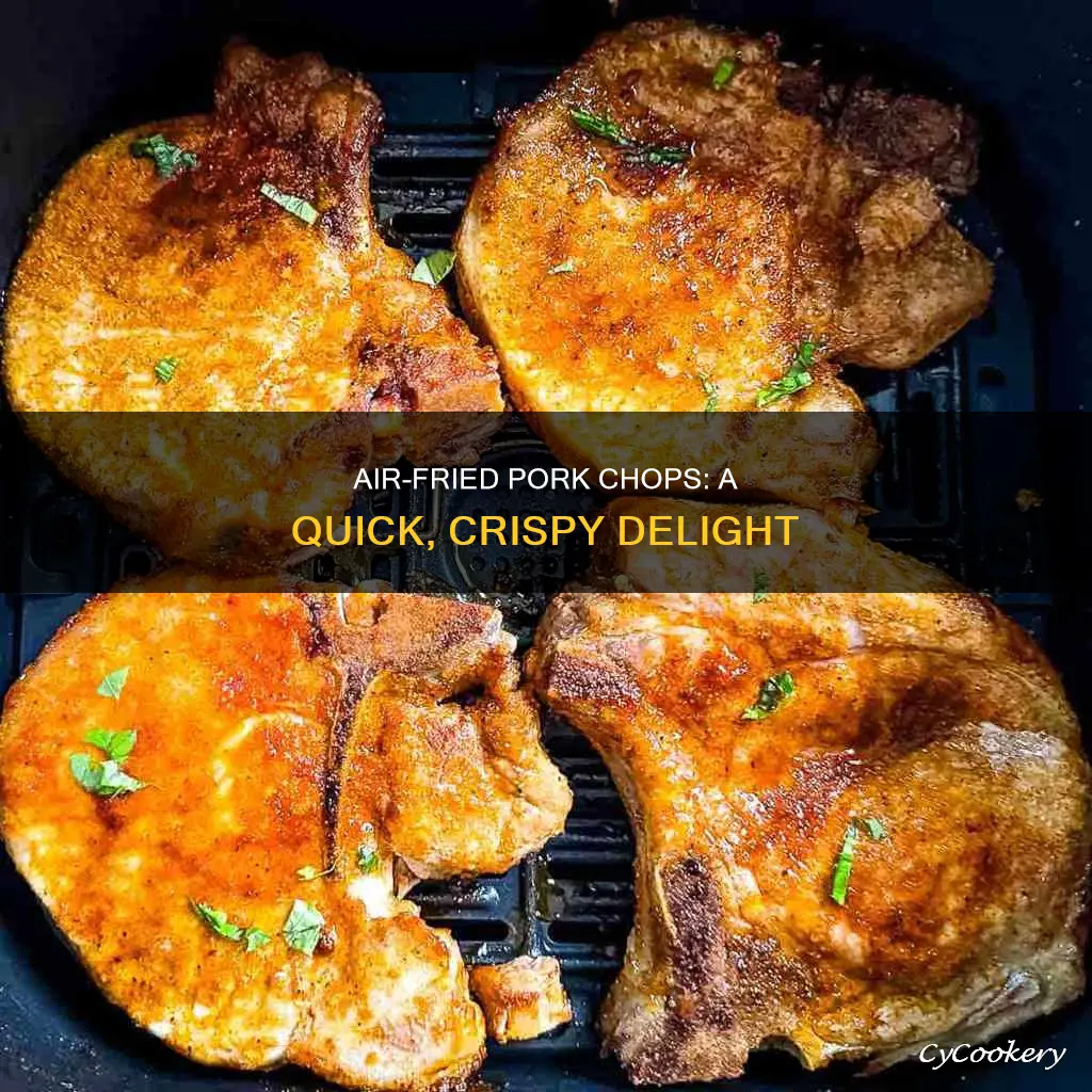 how to make pork chop in air fryer