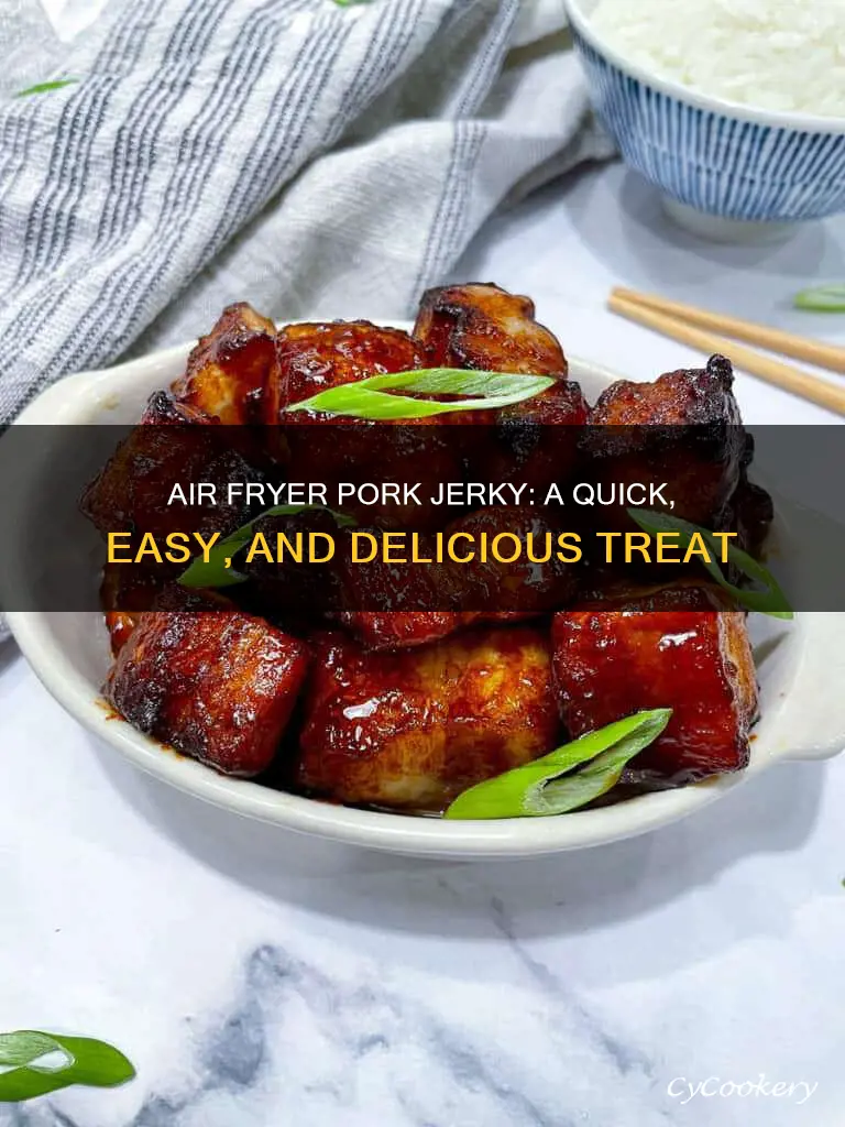 how to make pork jerky in air fryer