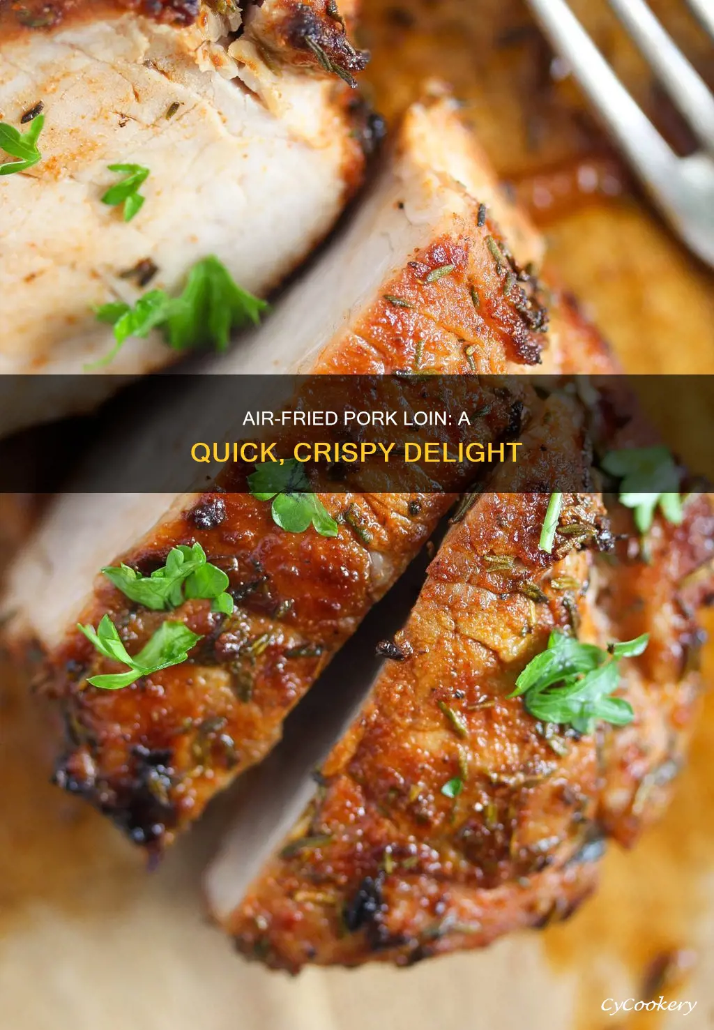 how to make pork loin in air fryer