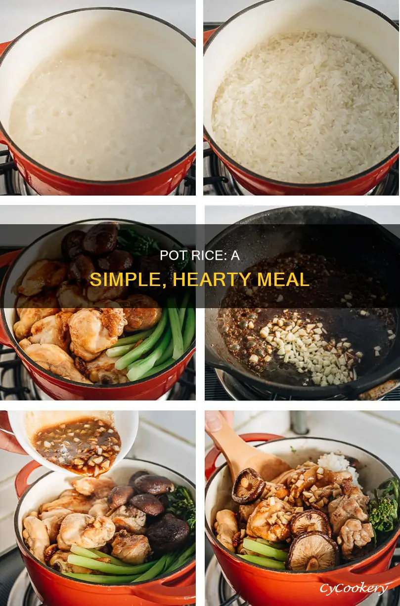 how to make pot rice