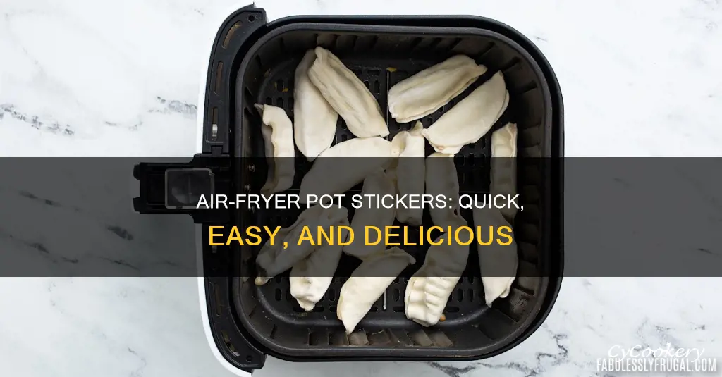 how to make pot stickers in air fryer