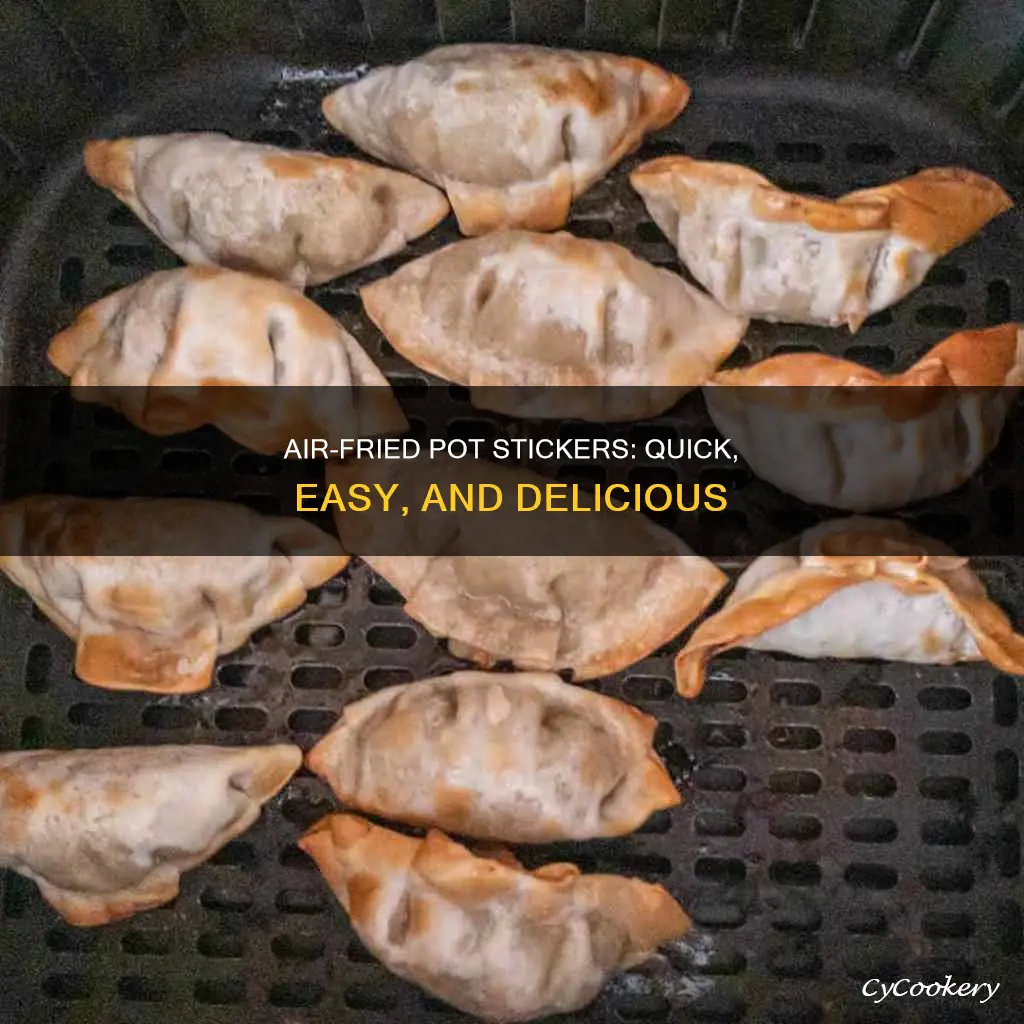 how to make pot stickers in an air fryer