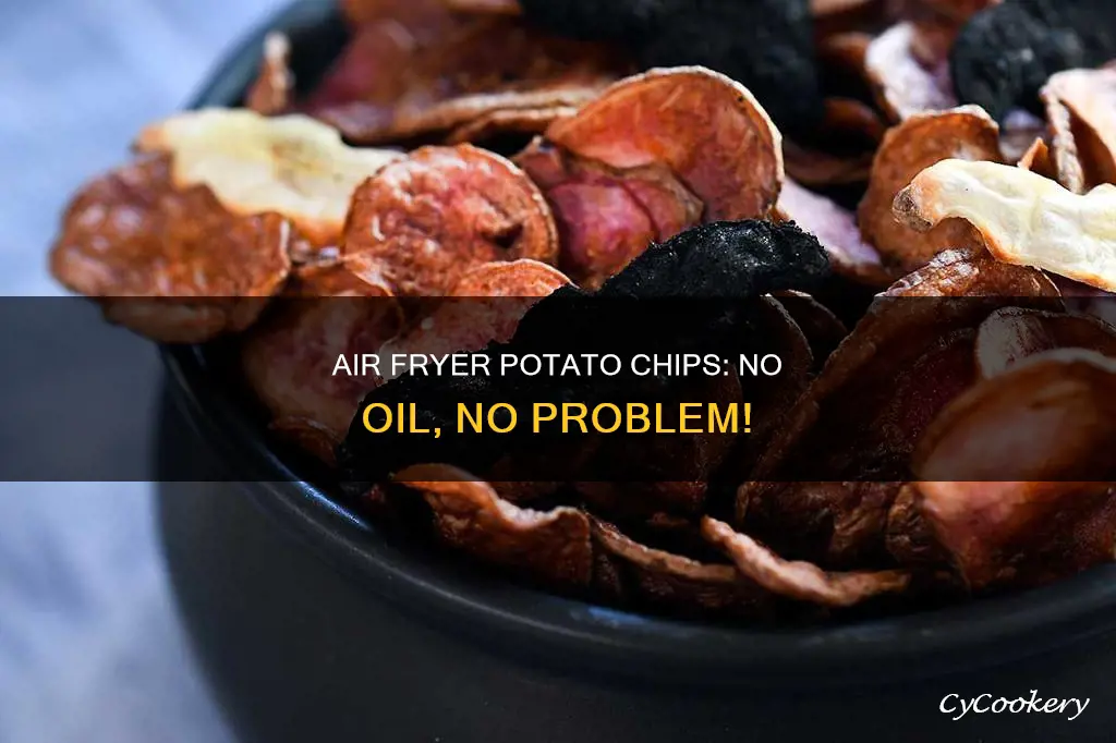 how to make potato chips in air fryer without oil