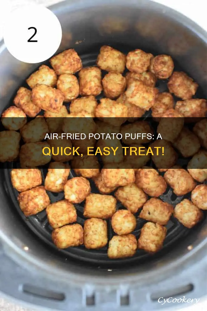 how to make potato puffs in air fryer