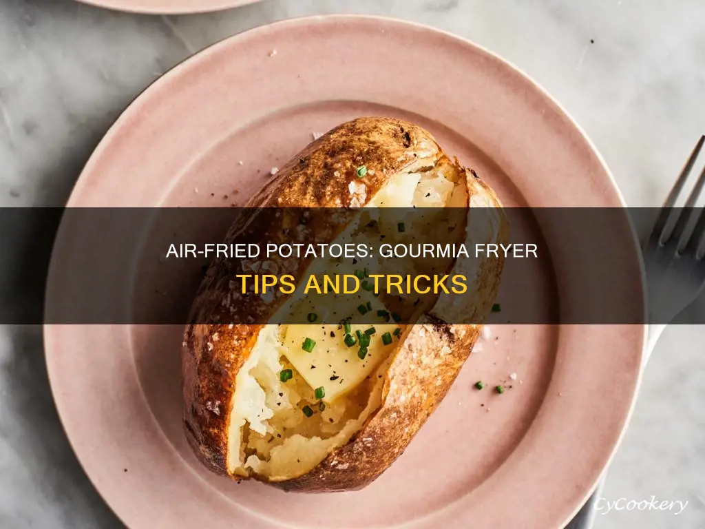 how to make potatoes in gourmia air fryer