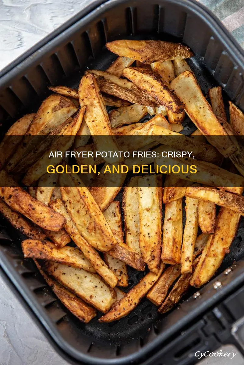 how to make real potato fries in air fryer