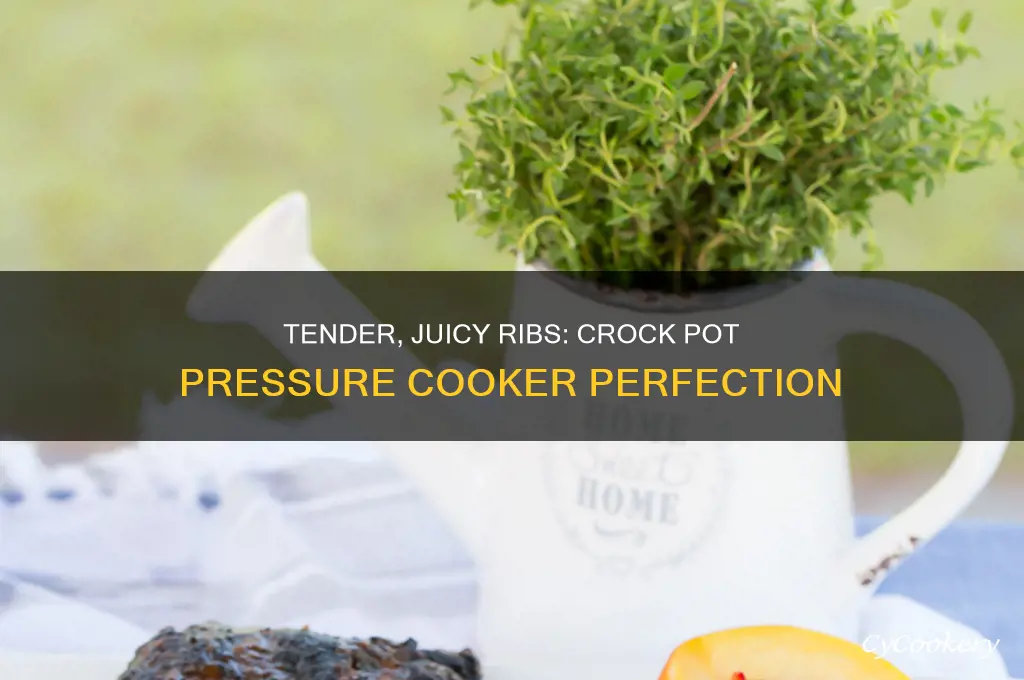 how to make ribs in crock pot pressure cooker