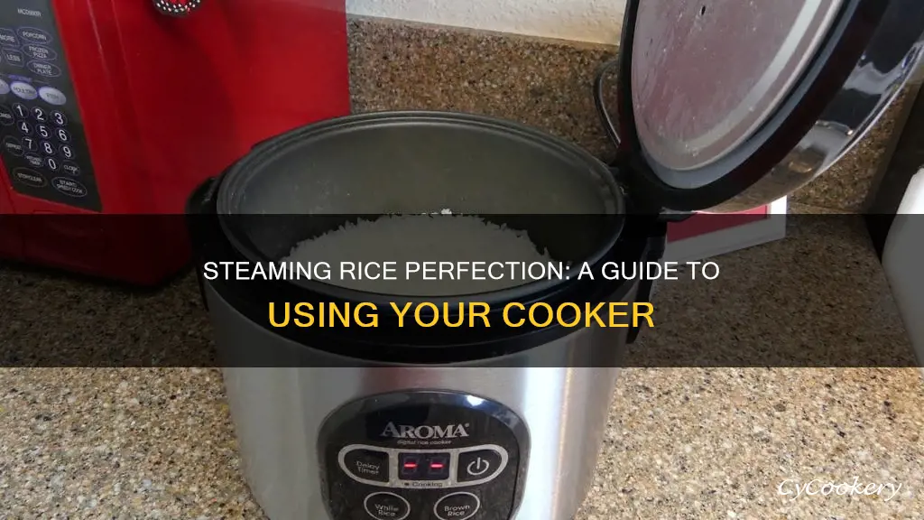 how to make rice in steam cooker