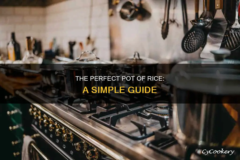 how to make rice with pot