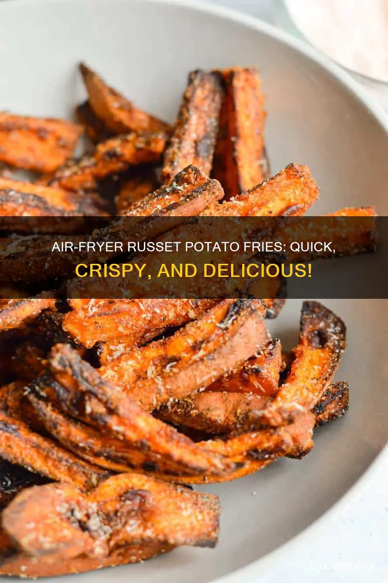 how to make russet potato fries in air fryer