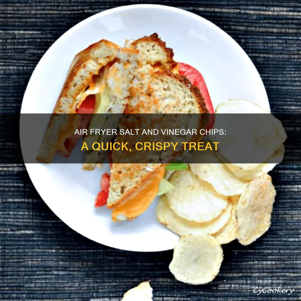 how to make salt and vinegar chips air fryer