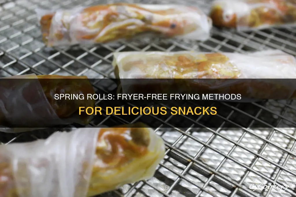 how to make spring rolls withotu a fryer