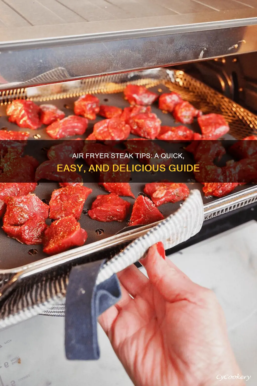 how to make steak tips in the air fryer