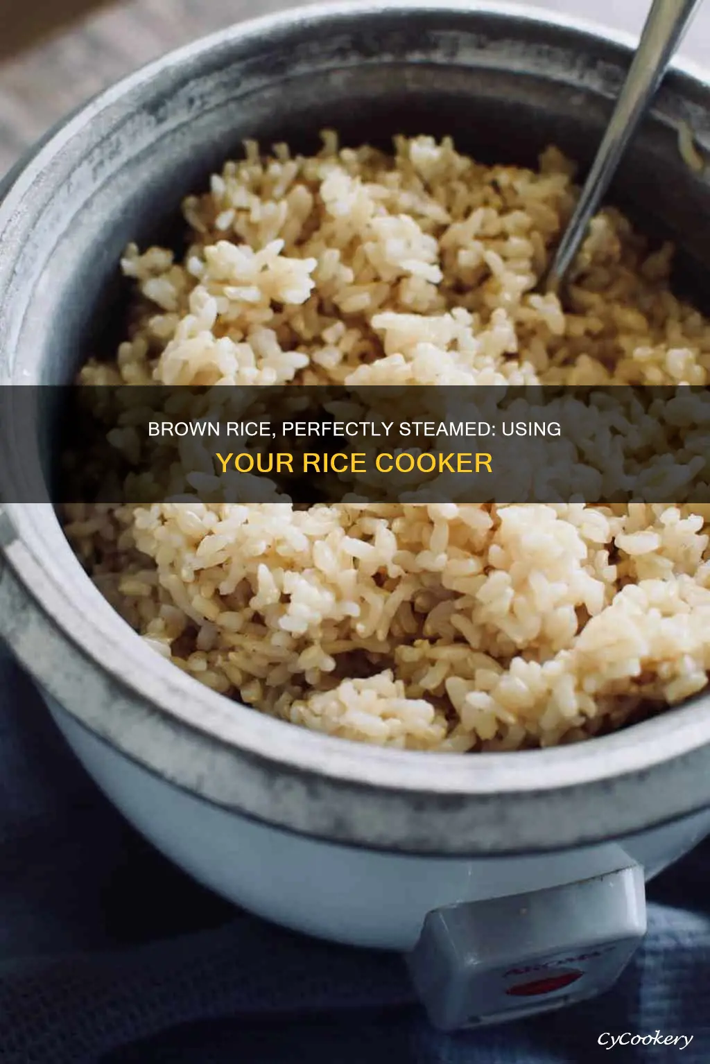 how to make steamed brown rice in a rice cooker