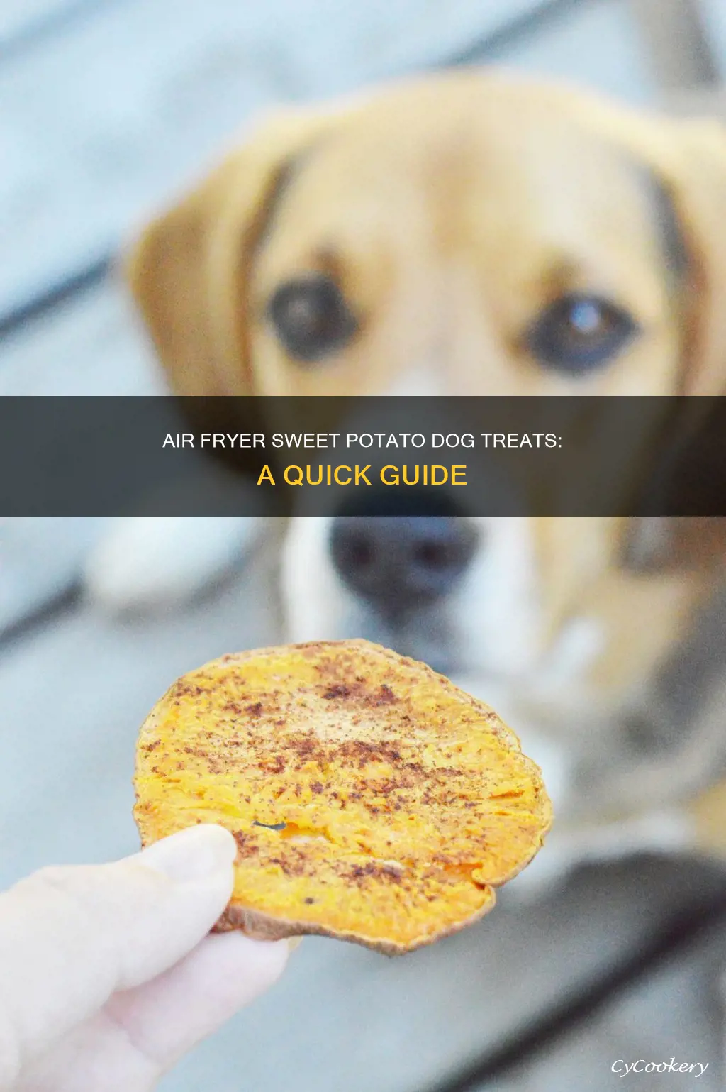 how to make sweet potato dog treats in air fryer