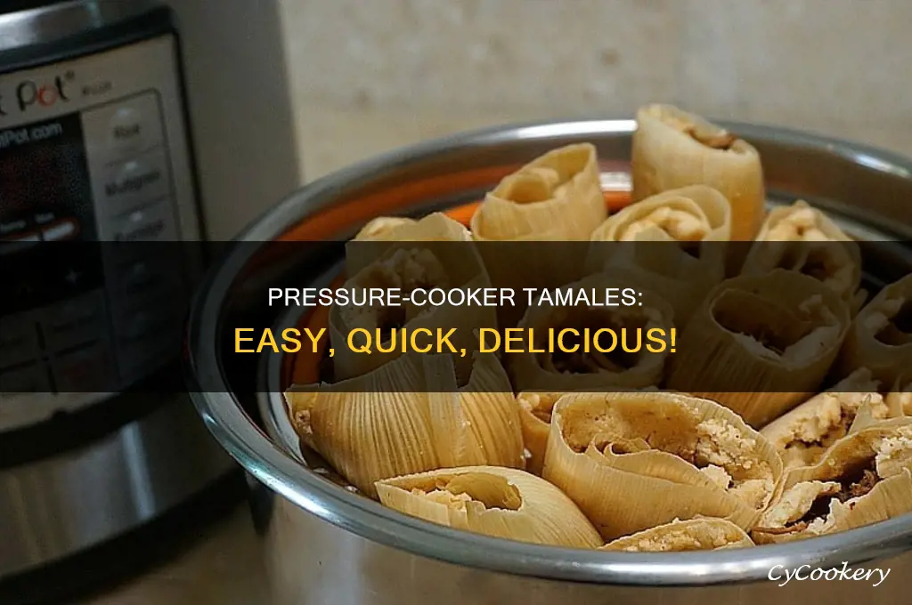 how to make tamales in a crock pot pressure cooker