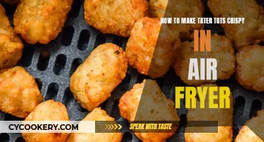 Air Fryer Tater Tots: Achieving Maximum Crispiness