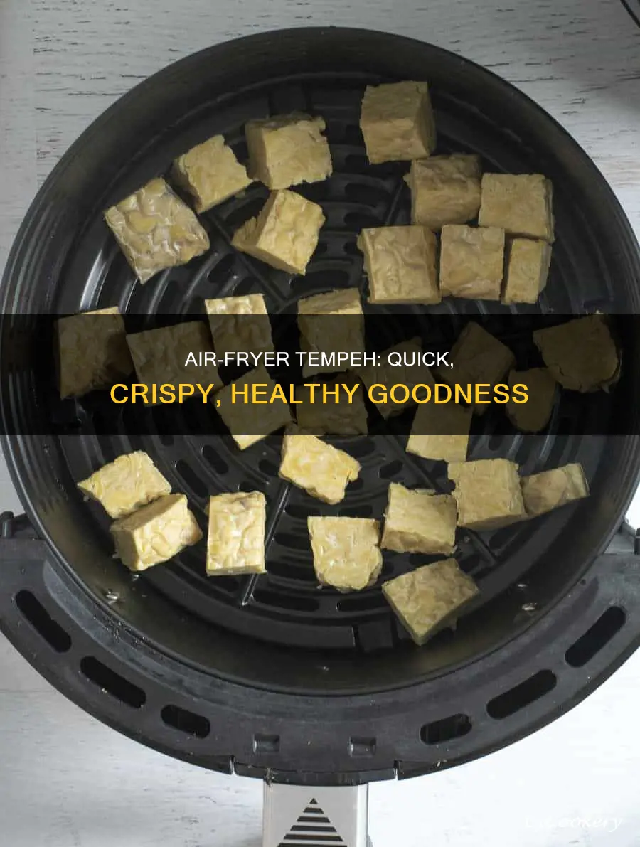 how to make tempeh in air fryer