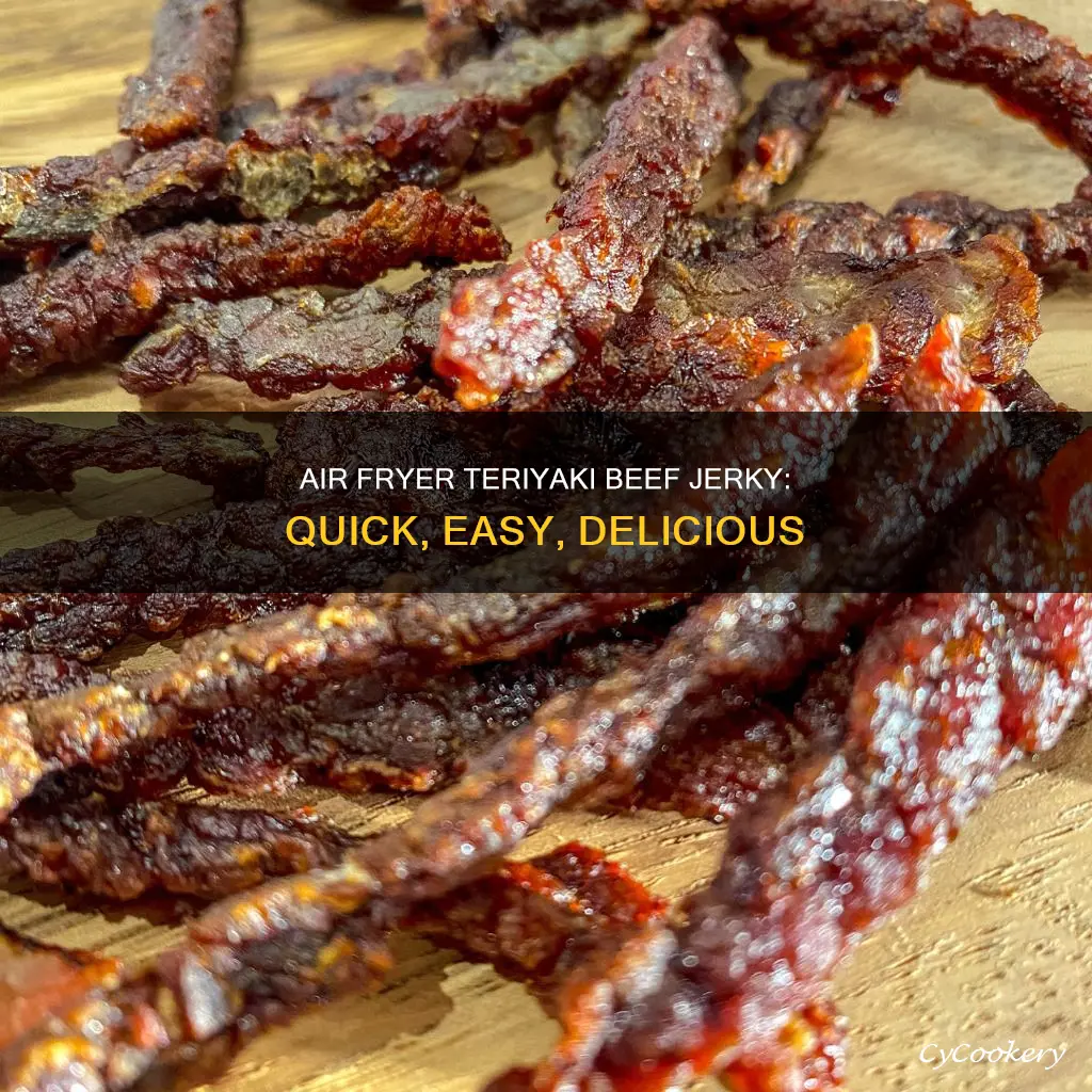 how to make teriyaki beef jerky in air fryer