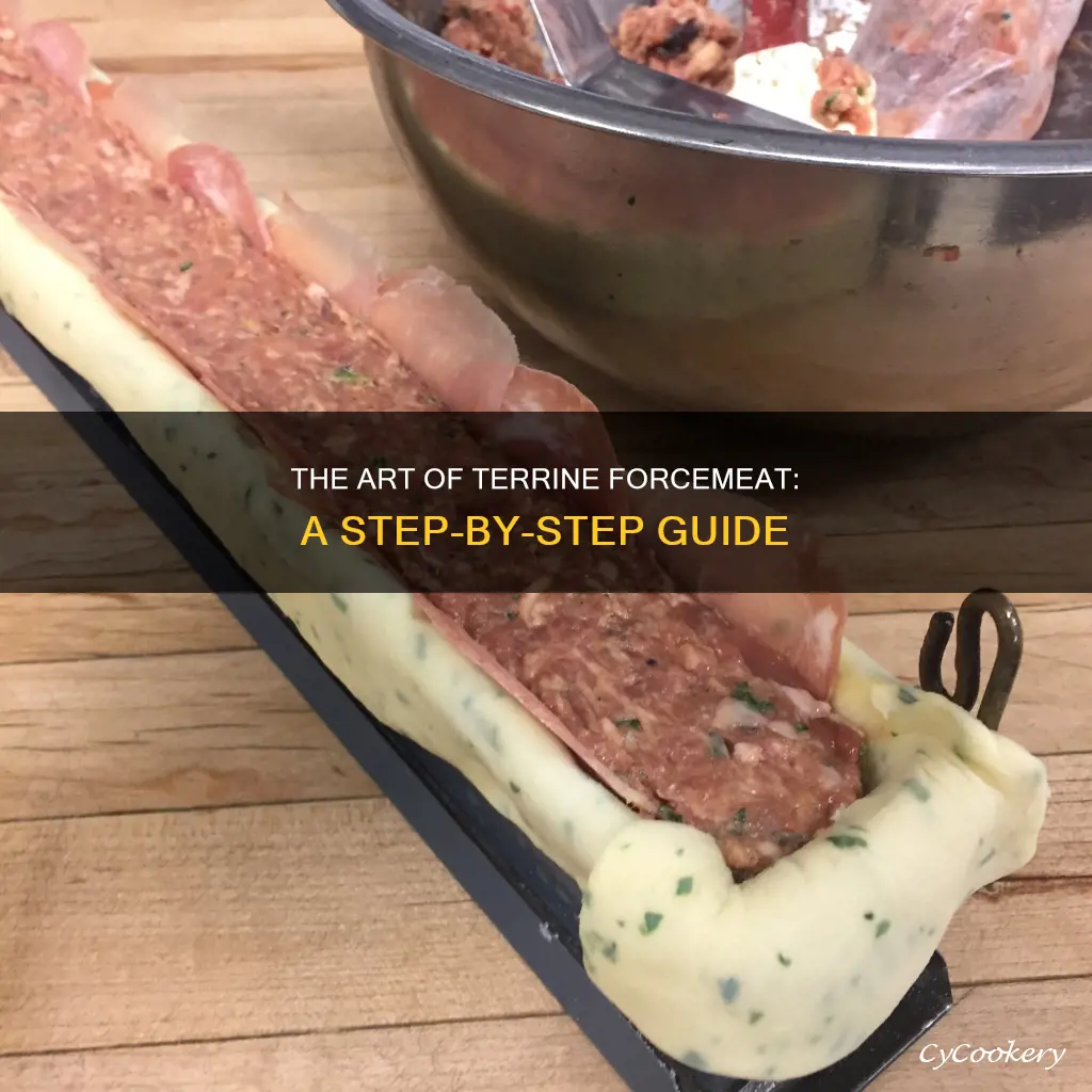 how to make terrine forcemeat