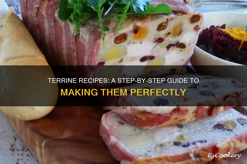 how to make terrine recipes