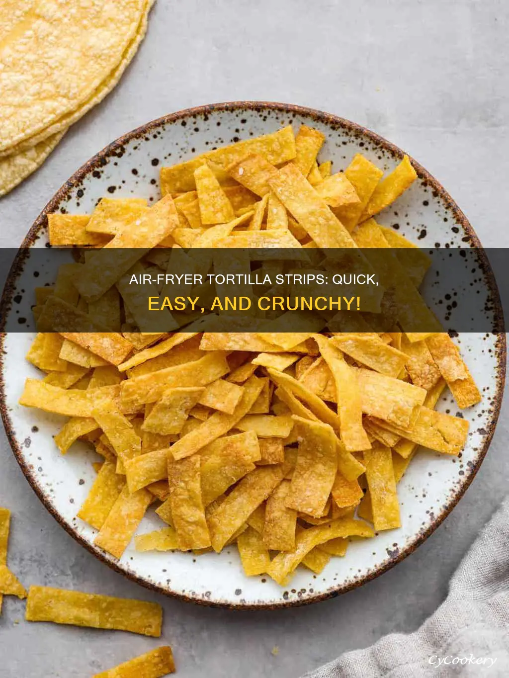 how to make tortilla strips in air fryer