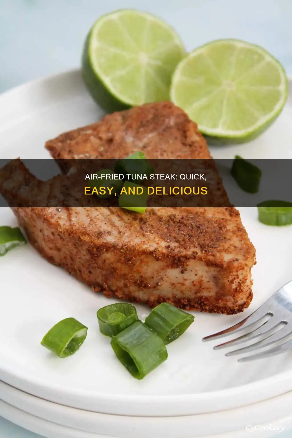 how to make tuna steak in air fryer