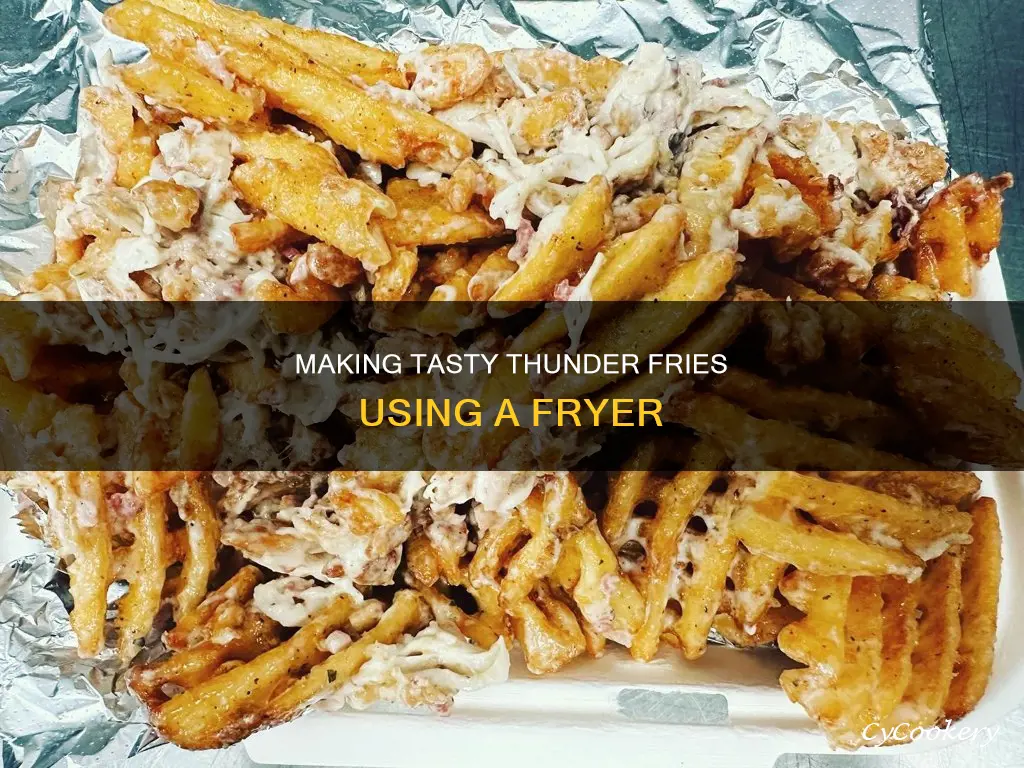 how to make tunder fries on a fryer