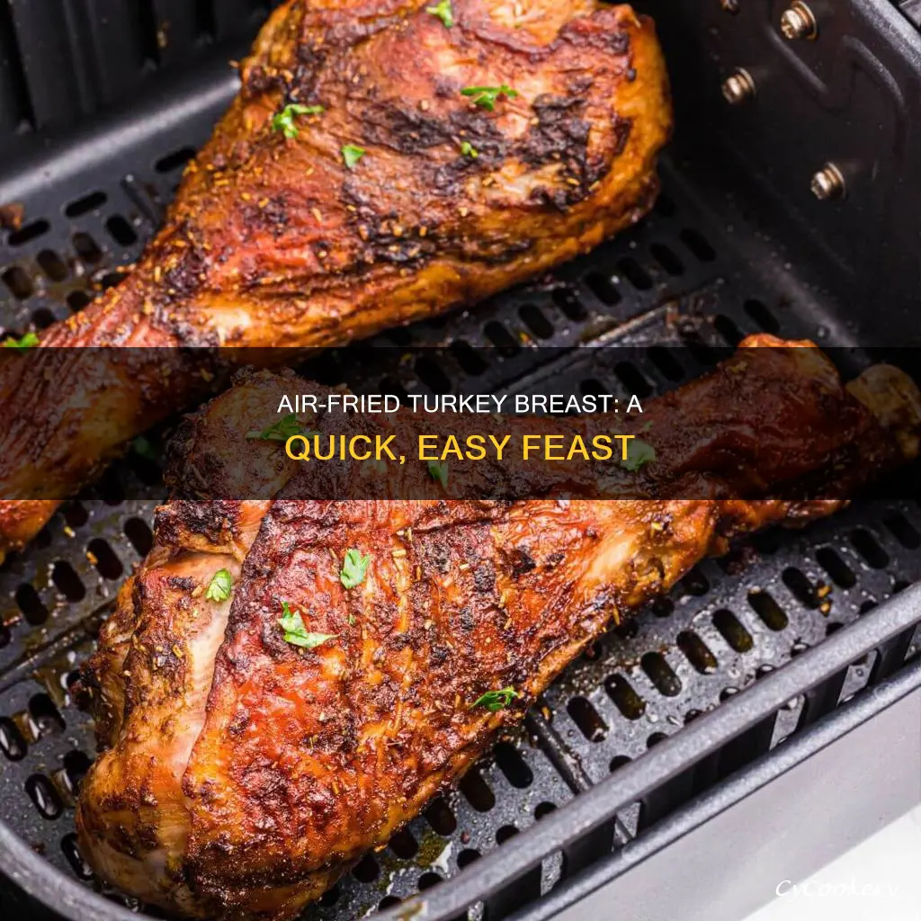 how to make turkey breast in air fryer