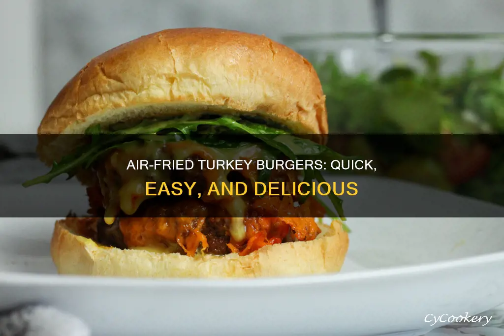 how to make turkey burger in air fryer