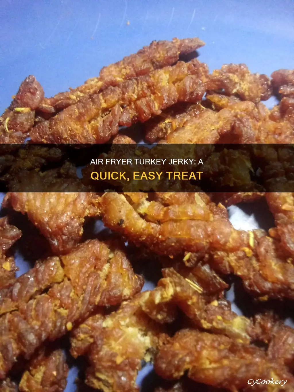 how to make turkey jerky in air fryer