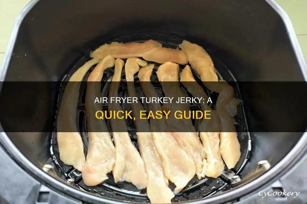 how to make turkey jerky in an air fryer