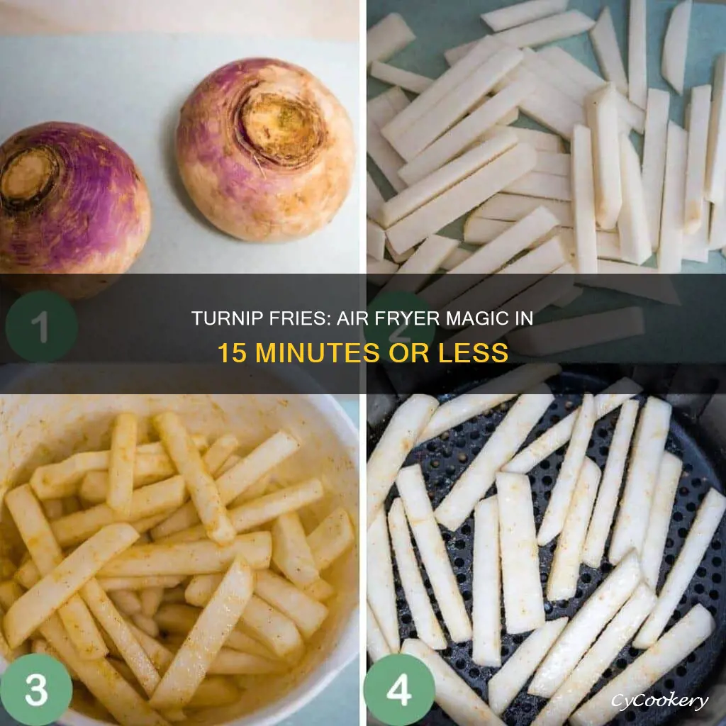 how to make turnip fries in air fryer