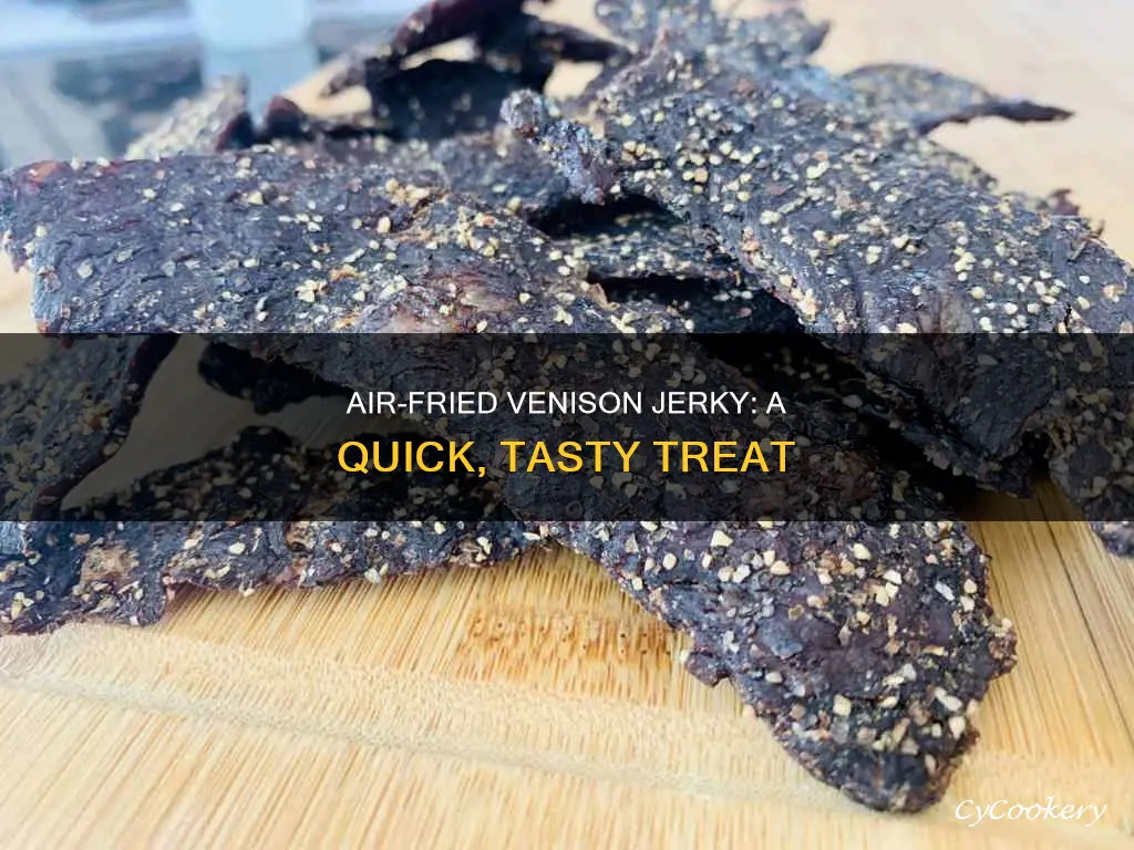 how to make venison jerky in air fryer